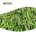 Healthy Snacks VF Dried Okra Vegetable Chips